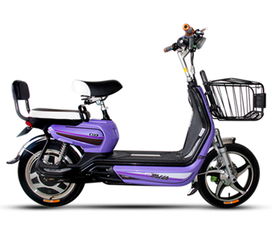 4月15號電動車將實施新規,你的電動車真的安全嗎